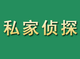 安定市私家正规侦探